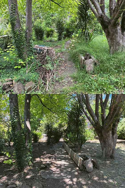 5-baker-before-and-after.jpg