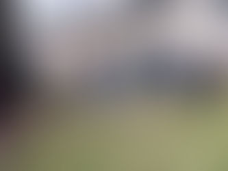 Photos from our 2024 event