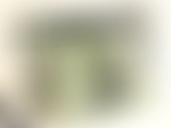 未使用　IBIZA　イビサ　ディベルシオン　レザー×キャンバス　花柄　2WAYバッグ