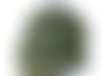 未使用　IBIZA　イビサ　レザー　リュック　バックパック　モスグリーン　グリーン