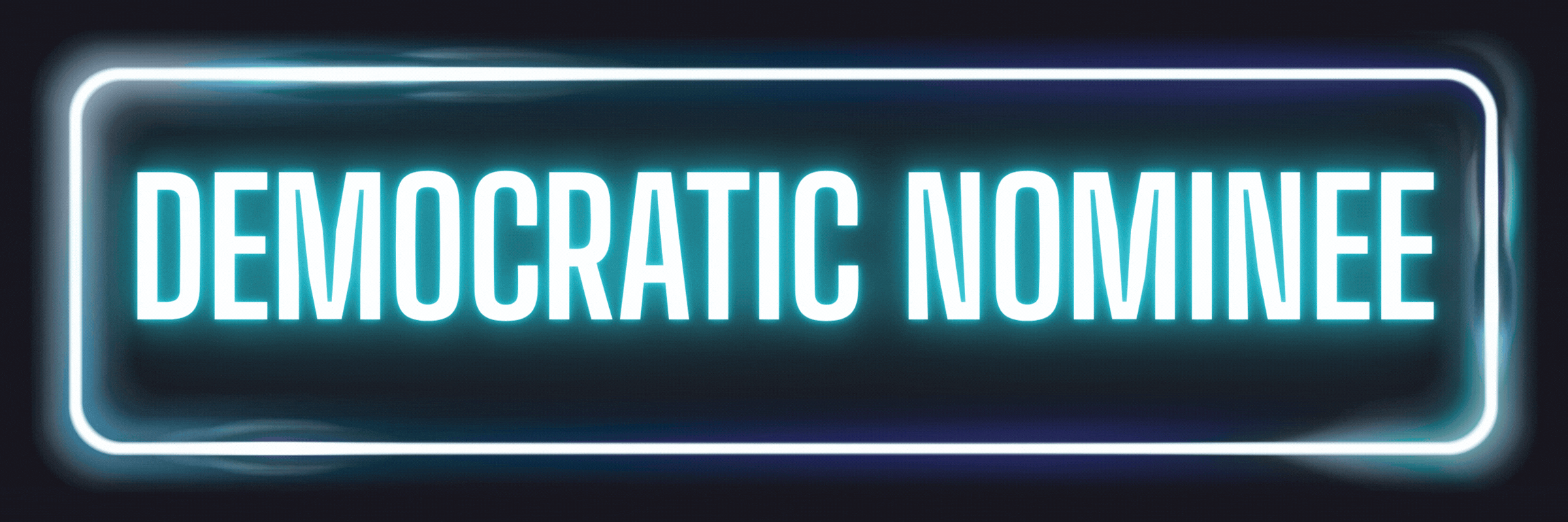 Democratic Nominee (1).gif