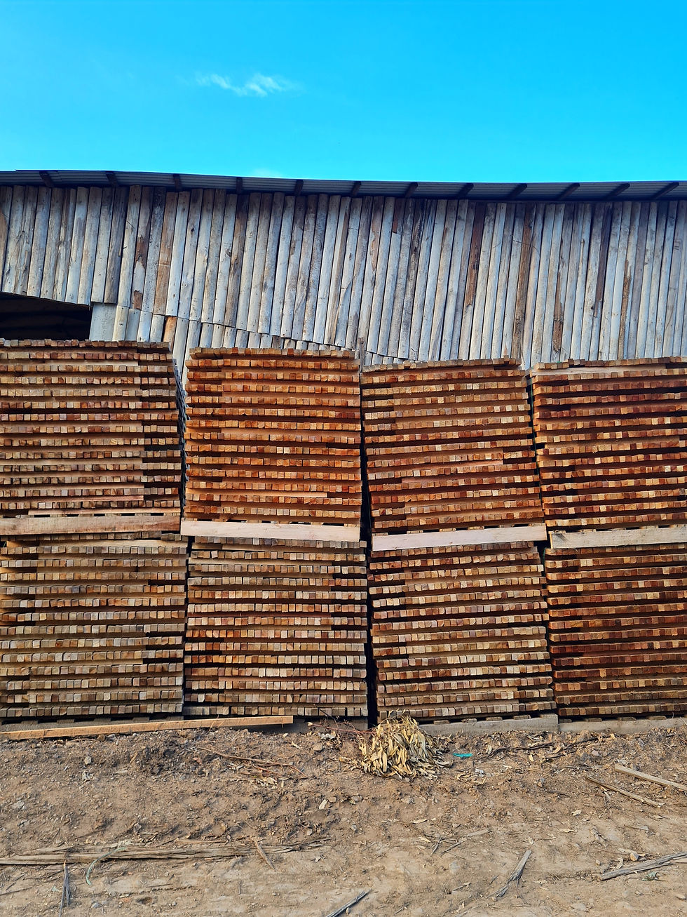 20220201_174310[1]_edited