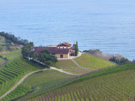 Albariño Appreciation Day 🍋✨