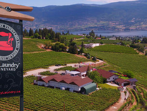 Secrets, Sparkles, and a Hint of Scandal:       Dirty Laundry Vineyard