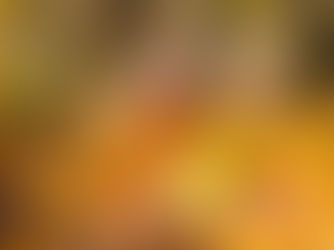 Embrace the Sparkle: Why Bubbles Shine in Autumn