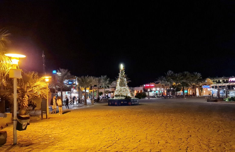 Christmas tree in El Gouna Downtown at night