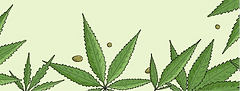 cannabis agritourism.png