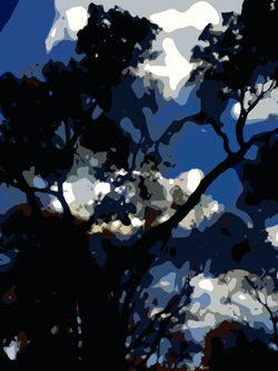 tree&sky