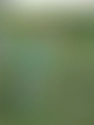 MATCH REPORT: POLEGATE TOWN