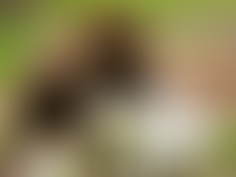 Ações selecionadas no gráfico semanal - 09/05/2022 a 13/05/2022