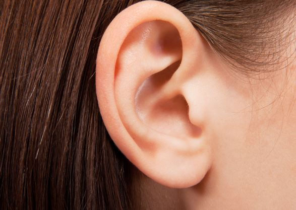 EAR REF.JPG