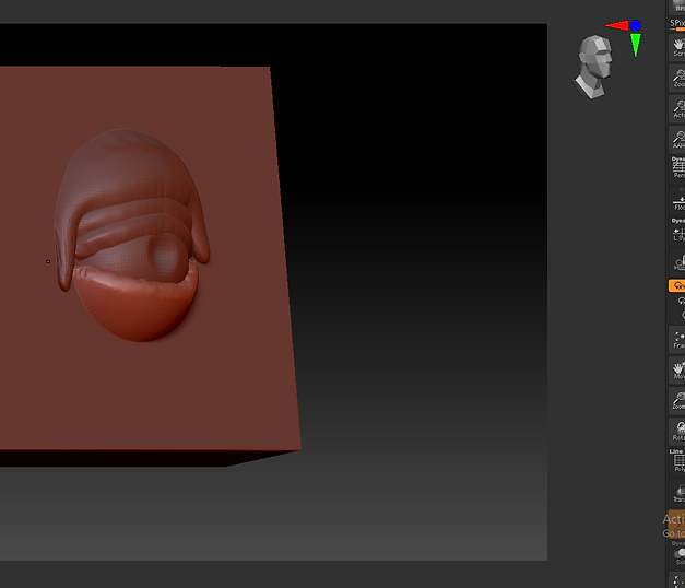EYELID LOWER.PNG