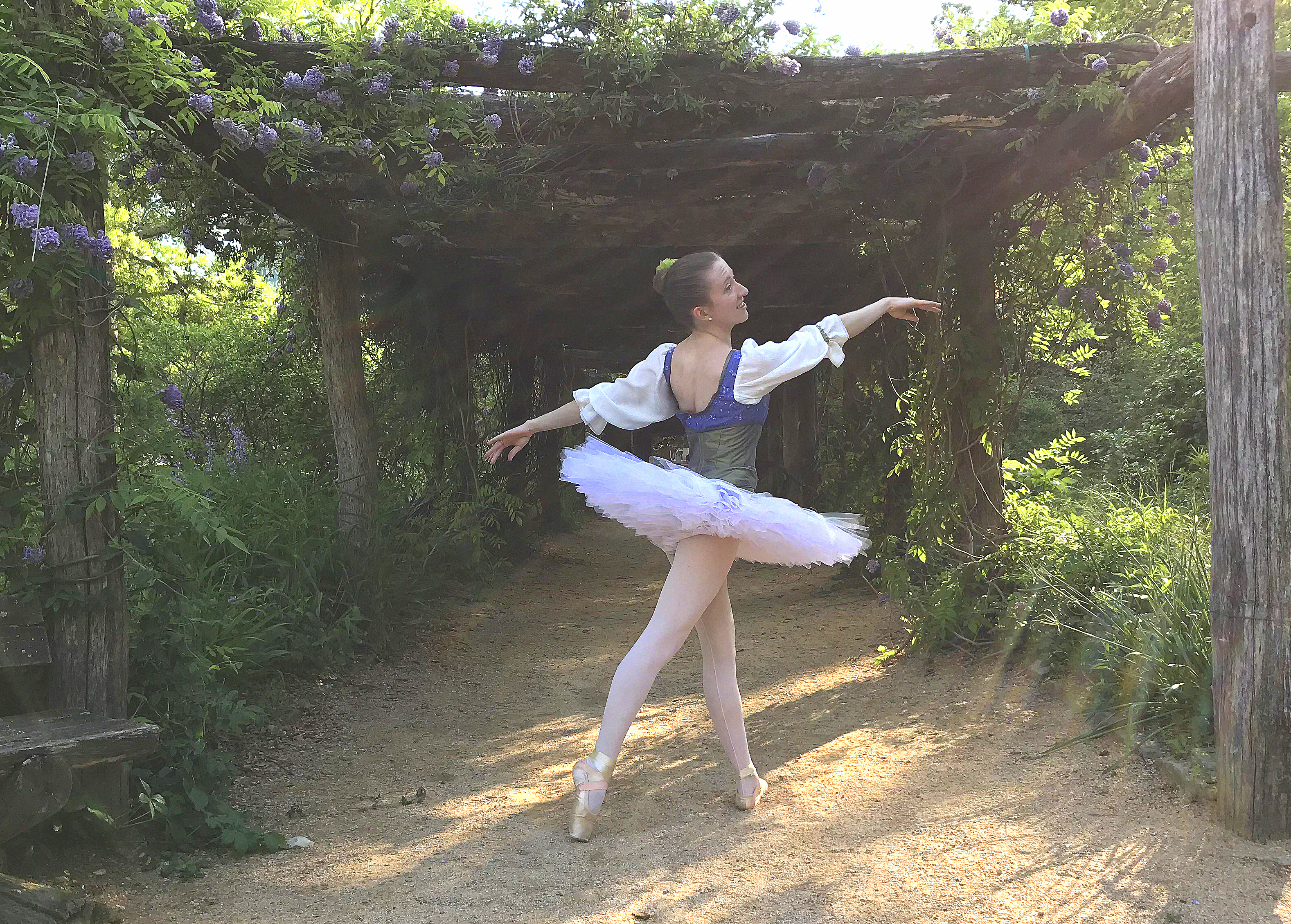 Classical Plate Tutu