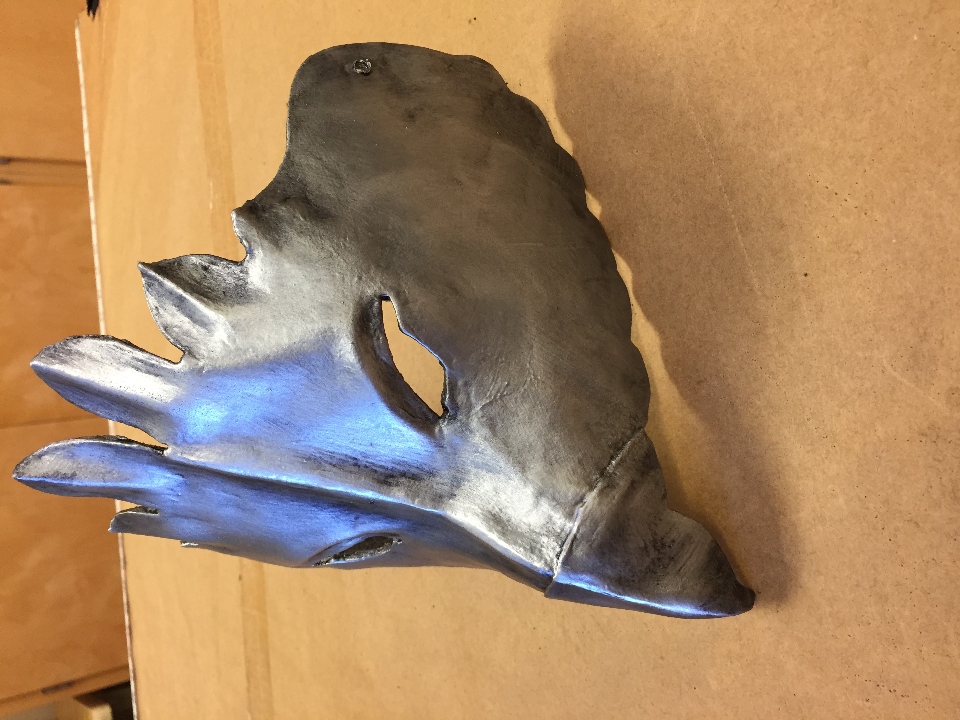 Eye Shield