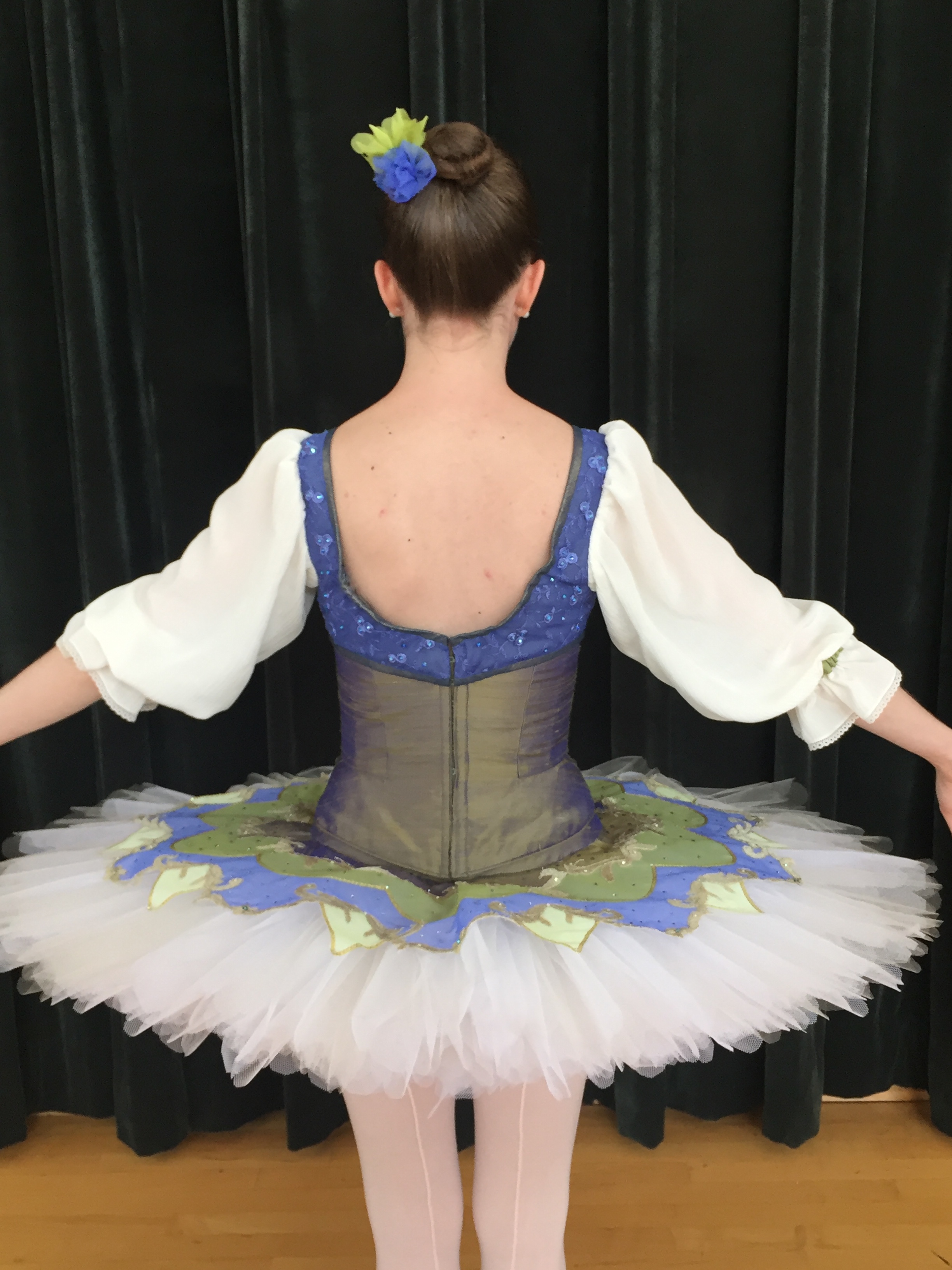 Classical Plate Tutu