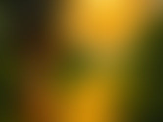 IGNITE mini-series coming up!!!