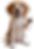 kling_20260213_作品____1_______3360_1_edited.png
