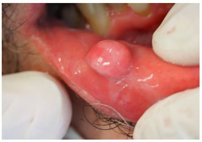 WhatsApp Image 2025-05-29 at 1.09.06 PM.jpeg