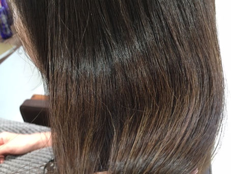 今日は台風です