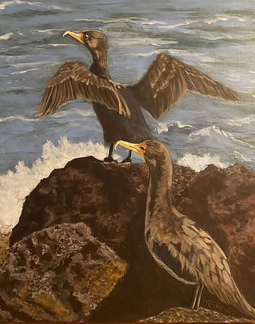 Double-Crested Cormorants.jpeg