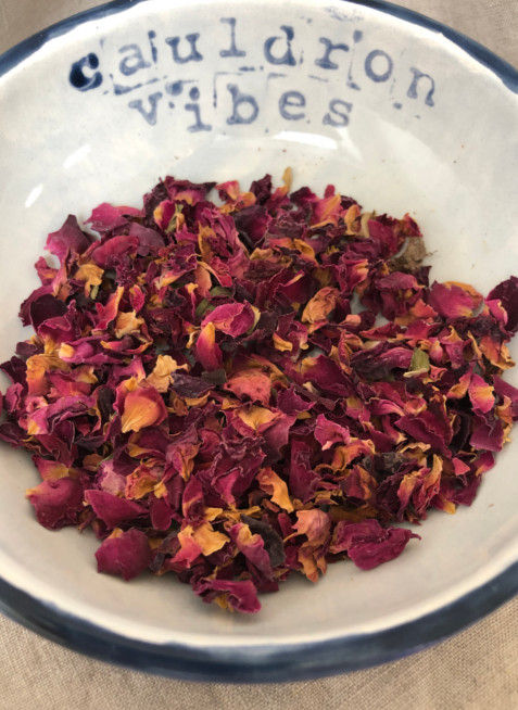 Miniaturbild: Rosenblüten in rot in einer Schalte