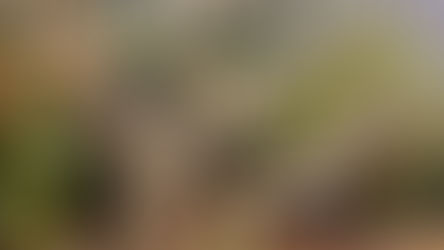 Where Healing Begins (and Continues): A Note to My Readers