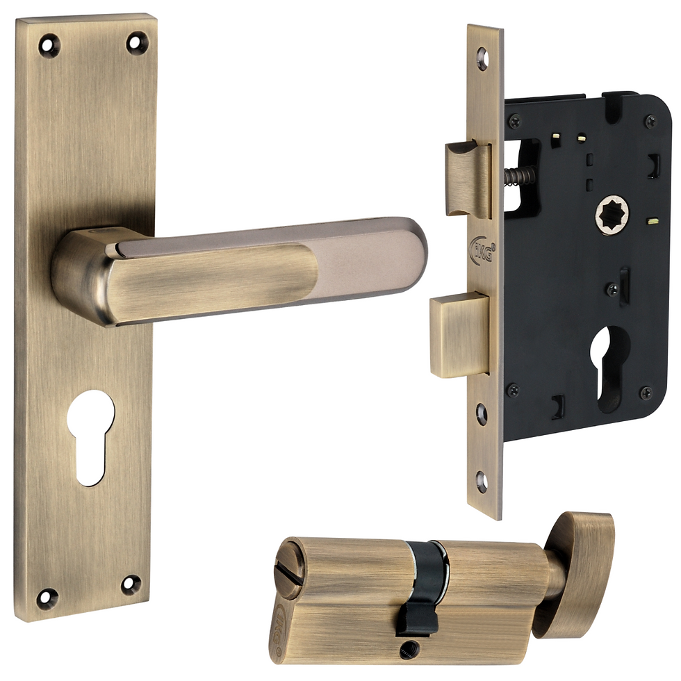 Thumbnail: IMH-101 Mortise Handle Set on 8" Plate with IML-05E Lock Body & IMC-01E Cylinder