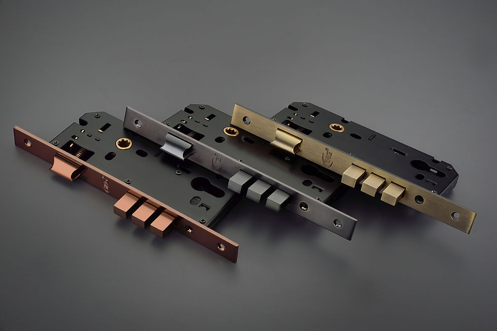 IML-02 Brass Mortise Lock Body