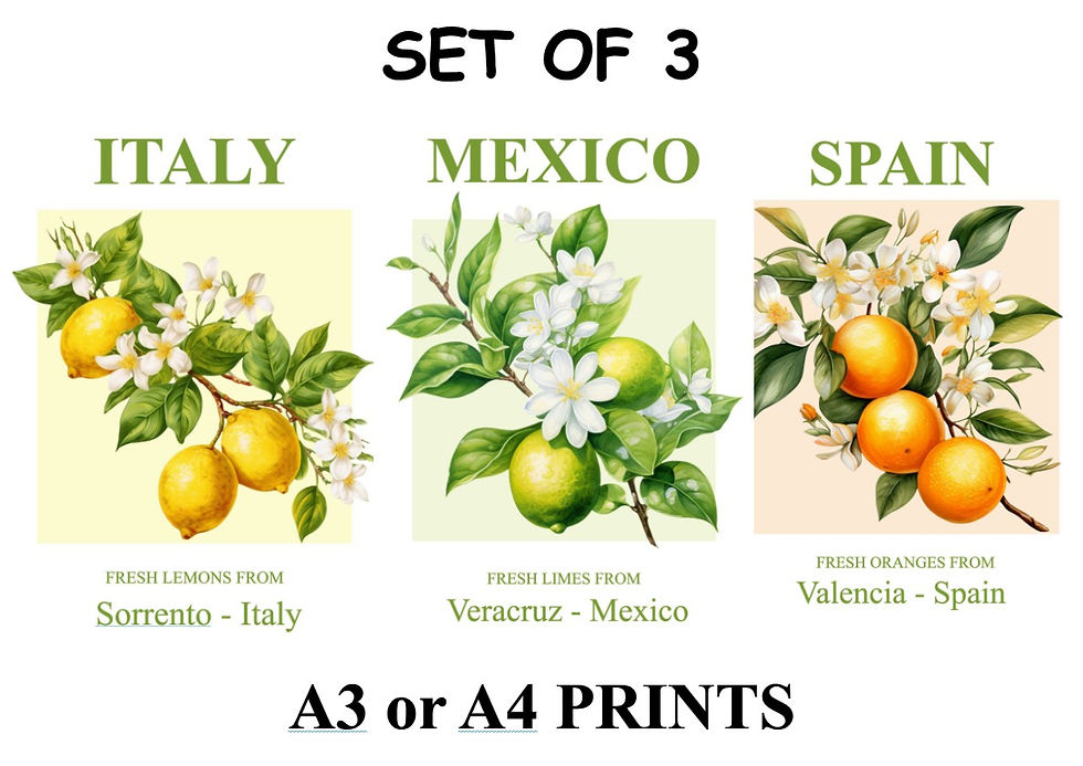 Set of 3 prints Oranges, Lemons and Limes