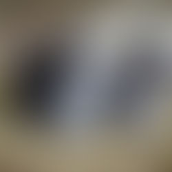 Evcil Hayvan Bakımında Uzmanlaşın: Sadık Dostlarınızın Mutluluğunu ve Sağlığını Mükemmelleştirin