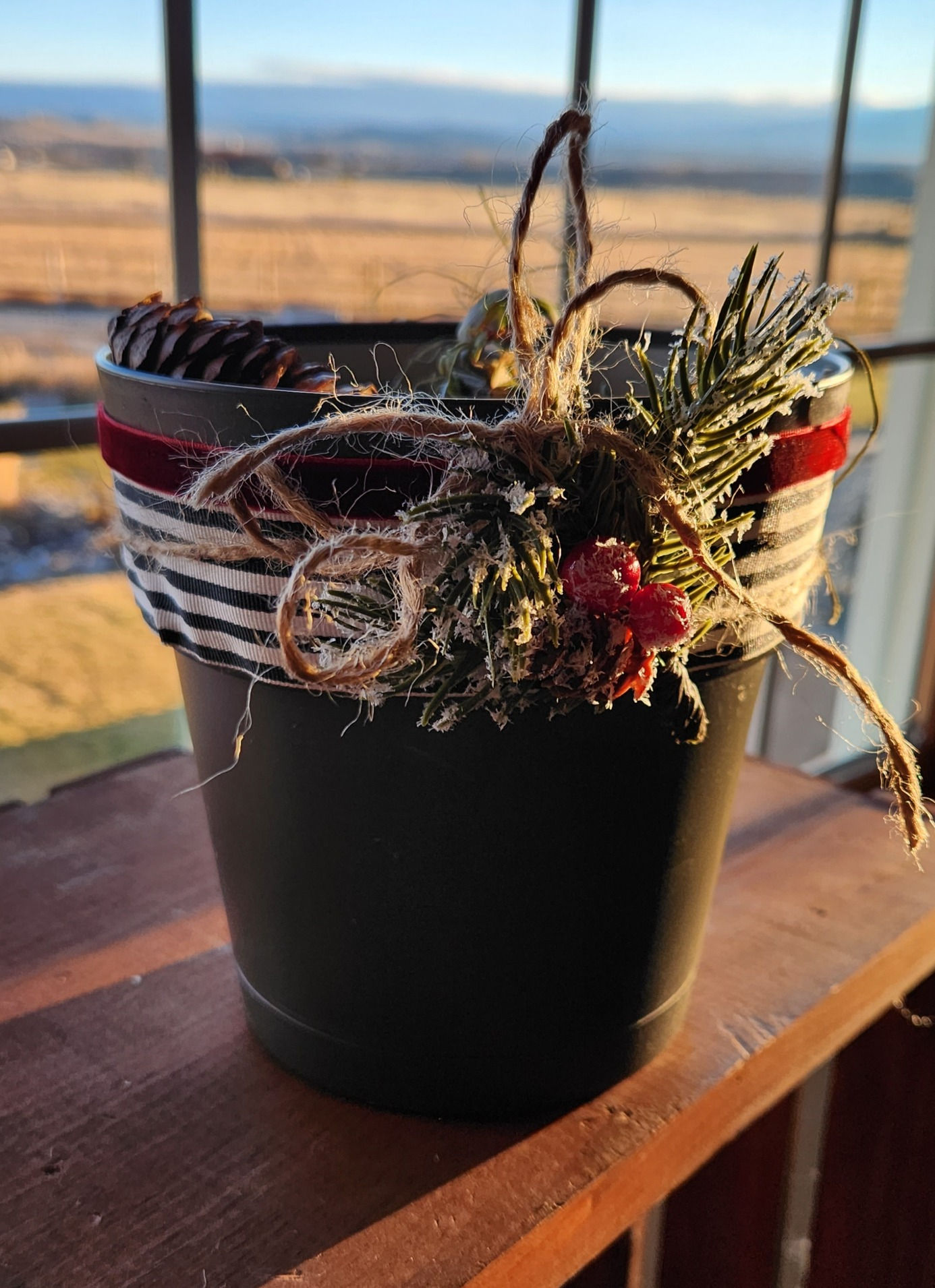 Royal Velvet Amaryllis