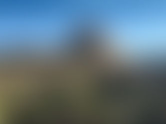 Sedona: A Wonderland of Red