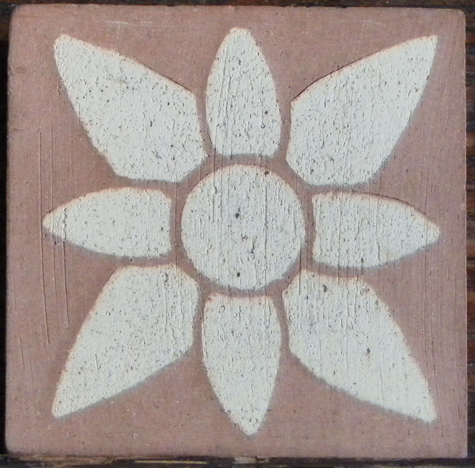 Star flower