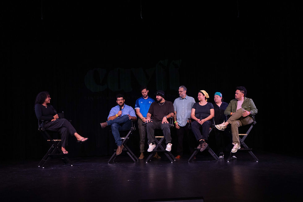 Panel at CAVFF