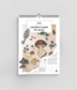 Calendrier et guide des saisons 2025
