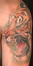 Color realism tiger tattoo designed and tattooed by Ocala Florida tattoo artist Gregg