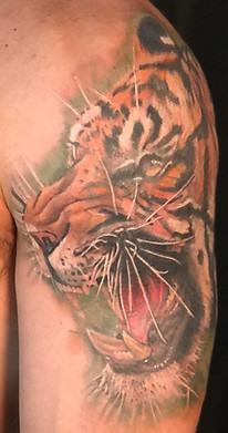 Color realism tiger tattoo designed and tattooed by Gregg