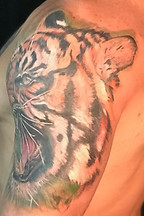 Color realism tiger tattoo designed and tattooed by Ocala Florida tattoo artist