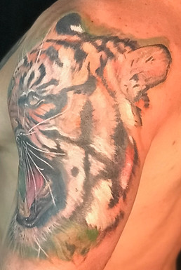 Color realism tiger tattoo designed and tattooed by Gregg
