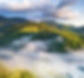 forest-and-fog-in-the-mountains-summer-landscape-2022-02-02-03-58-47-utc_edited.jpg