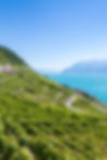 vineyards-in-lavaux-region-terrasses-de-lavaux-t-2021-09-02-12-42-04-utc.jpg