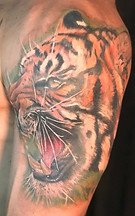 Color realism tiger tattoo designed and tattooed by Ocala Florida tattoo artist