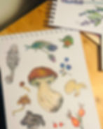 Thumbnail: Calendrier et guide des saisons 2025