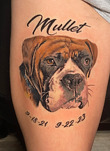 Color realism boxer dog portrait tattoo tattooed by Ocala Florida tattoo artist Gregg