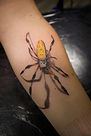 Color realism golden orb weaver spider fore arm tattoo designed and tattooed by Ocala Florida Tattoo Artist Gregg