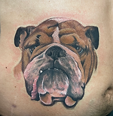Color realism english bulldog portrait tattoo created by tattoo artist Gregg