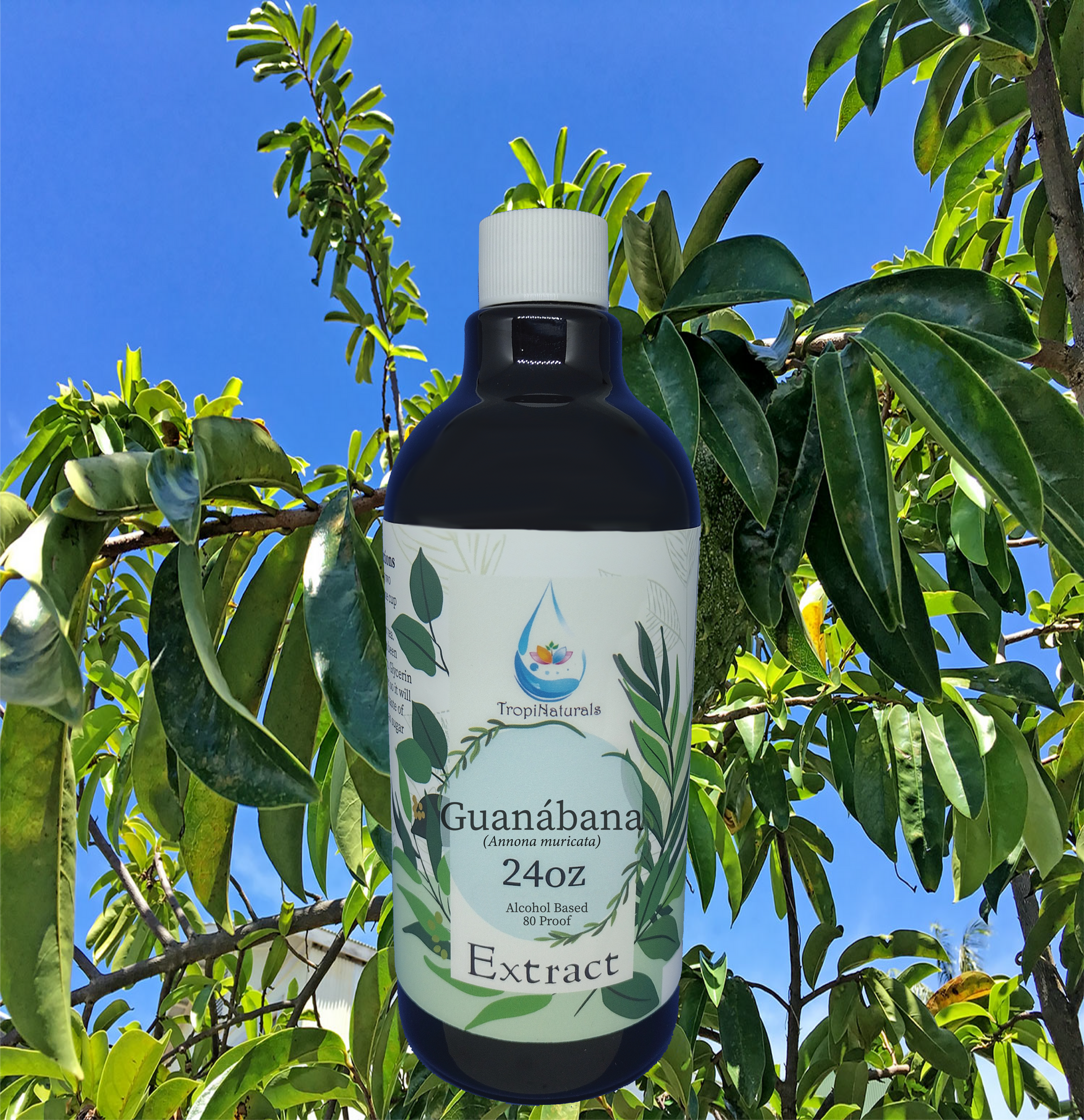 Guanábana (Annona muricata) Extracts