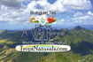 Herb Menu  | TropiNaturals