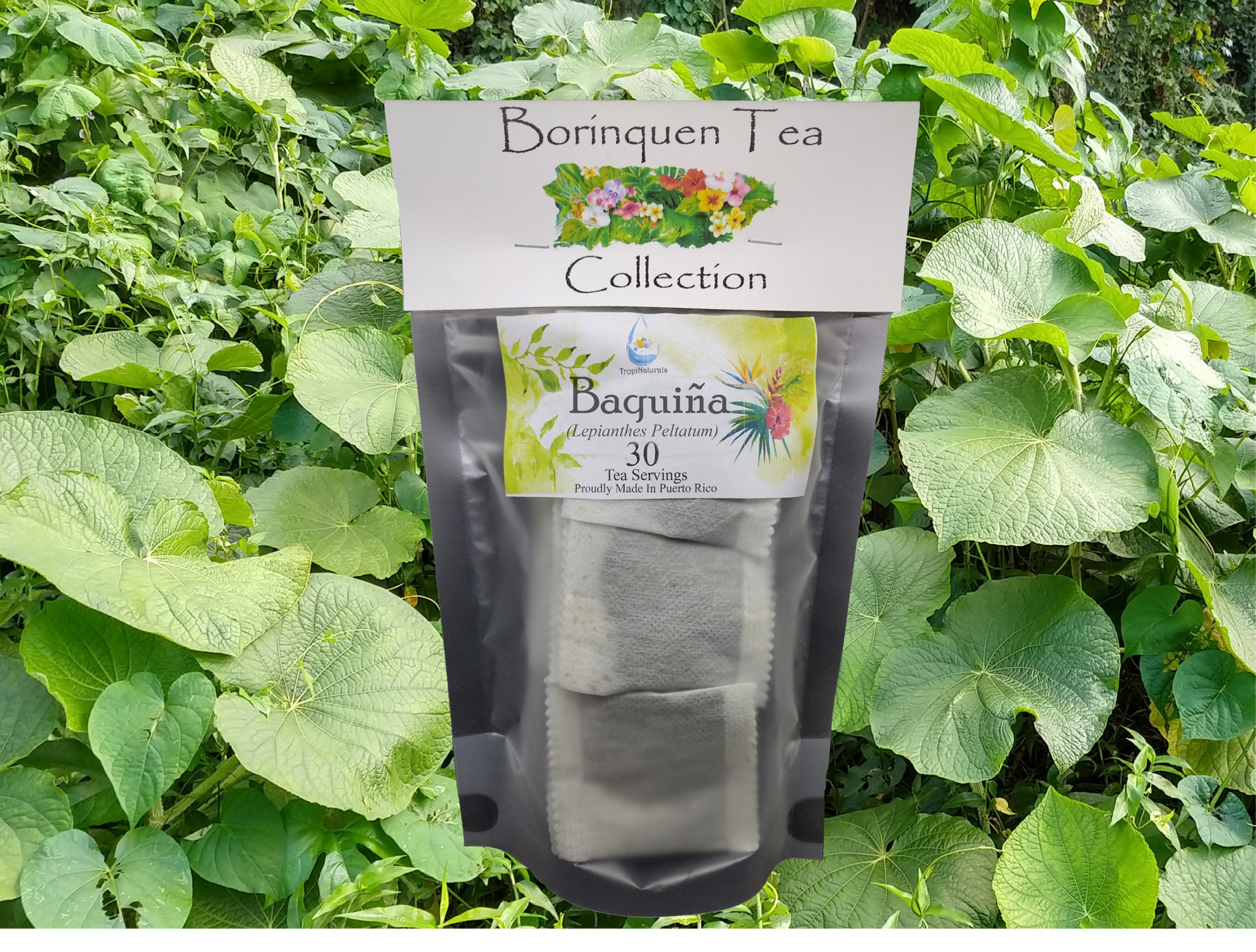 Baquina 30 Tea Servings