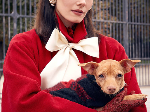 Headband is back and we have picked the best pieces